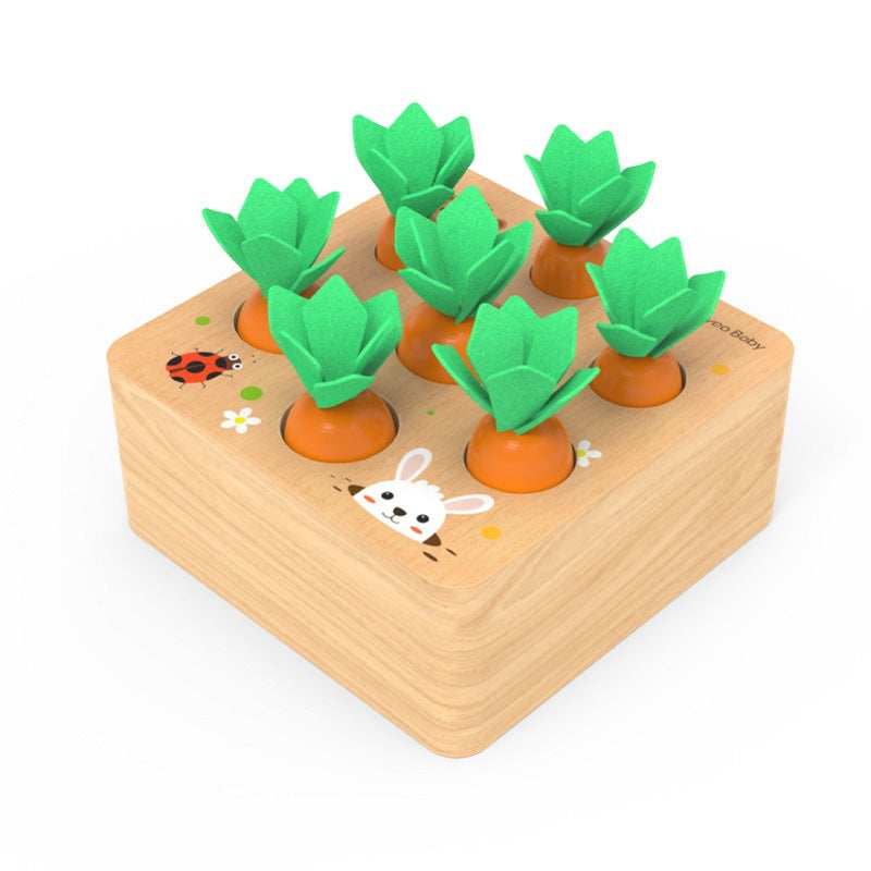 Montessori Karotten-Steckspiel