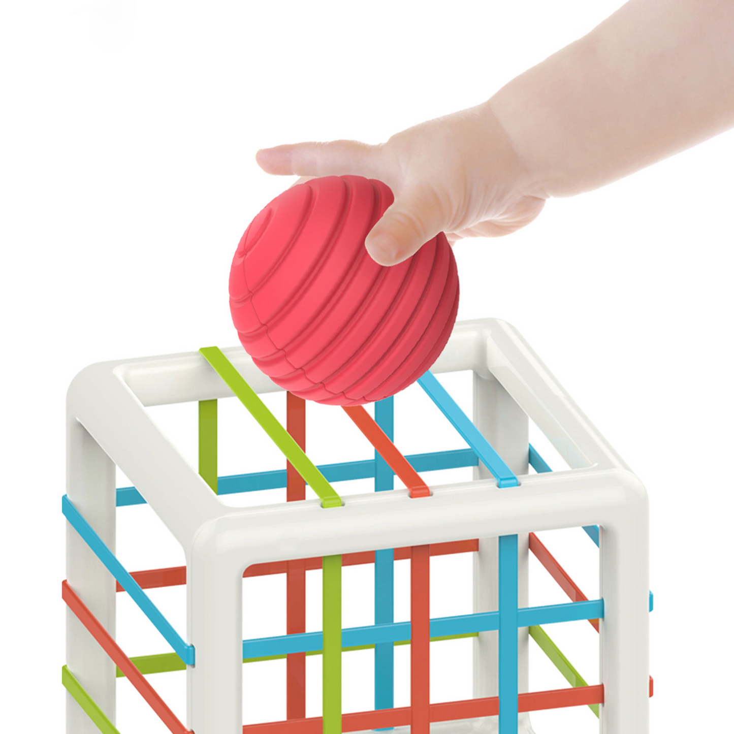Gioco di ordinamento delle forme
