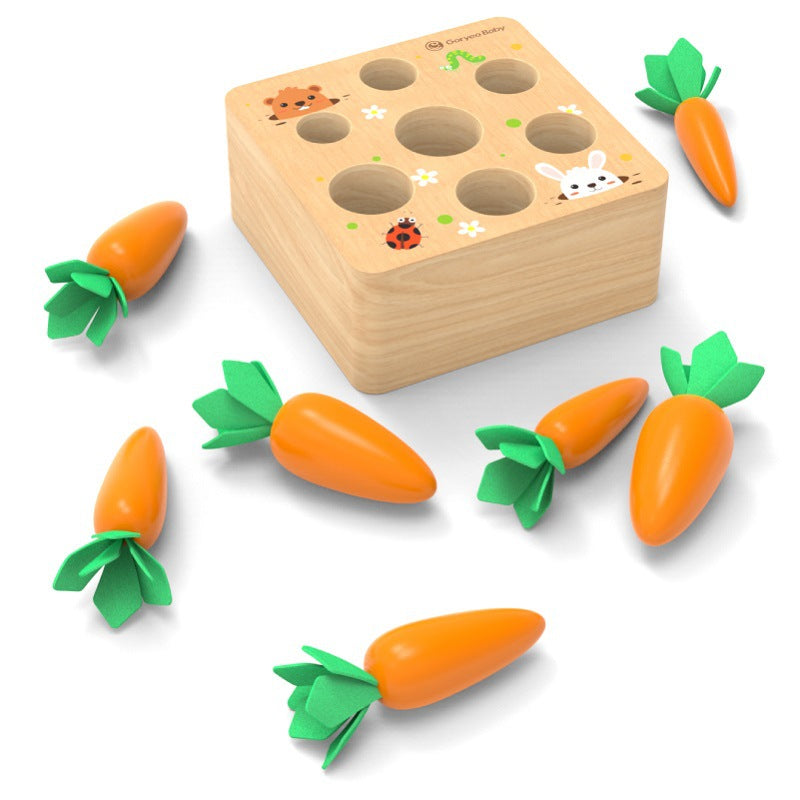 Montessori Karotten-Steckspiel