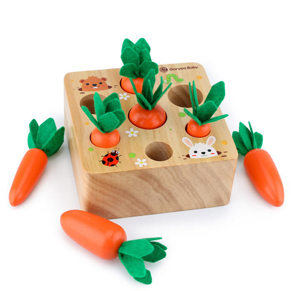 Montessori Karotten-Steckspiel