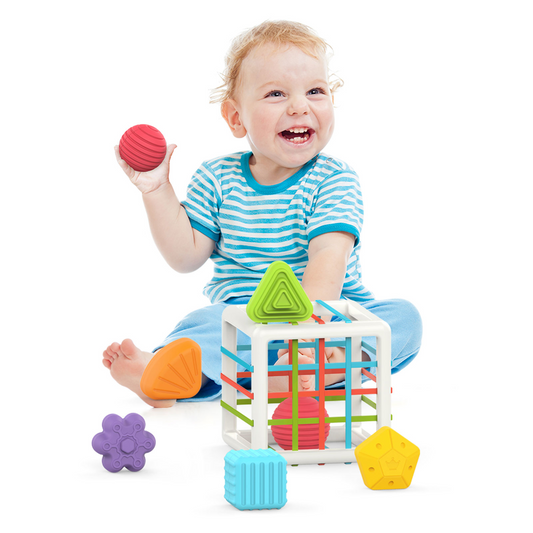 Gioco di ordinamento delle forme